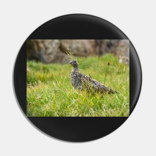 Rock Ptarmigan Pin