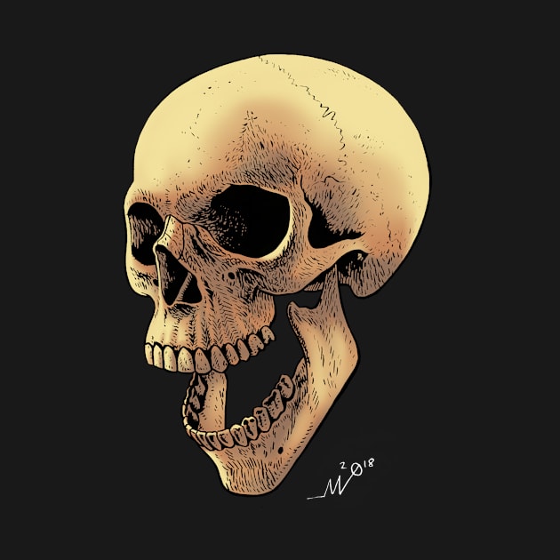 Skull by MoCampobasso