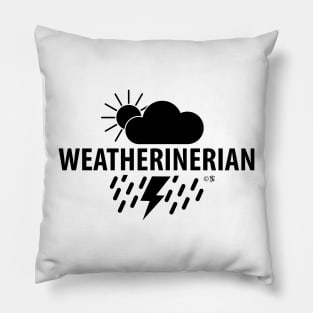 Weatherinerian, Meteorology Humor Pillow