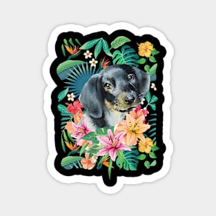 Tropical Black Tan Dachshund Doxie 1 Magnet