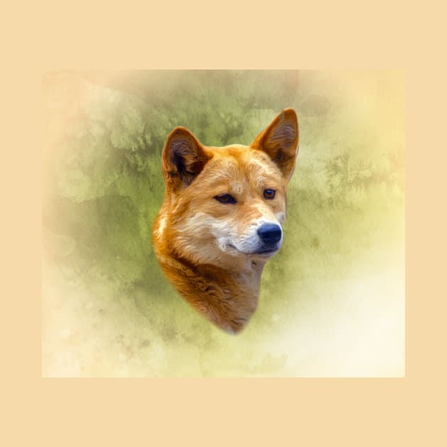 Dingo by Guardi