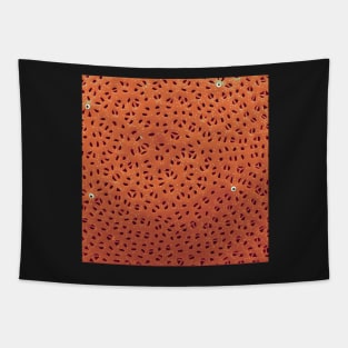 Diatom - Stephanodiscus niagarae (external, orange) Tapestry