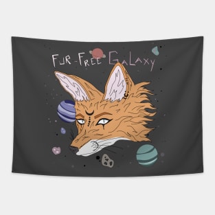Fur-Free Galaxy Tapestry
