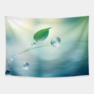 Leaf Water Drop Nature Serene Tranquil Tapestry