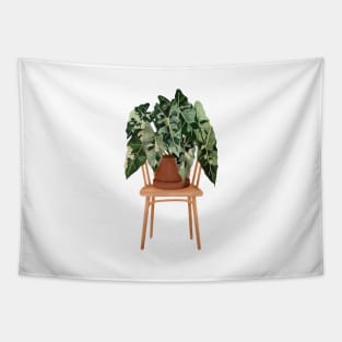 Philodendron Tapestry