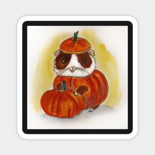 Pumpkin Guinea pig cavy! Fall, Thanksgiving, Halloween Magnet