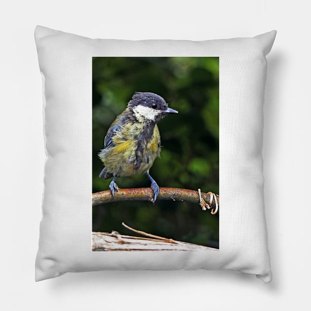 LE PANASONIC FZ 200 PAR OKAIO CRÉATION Pillow by caillaudolivier