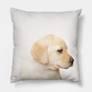 Labby the Labrador Dog Pillow