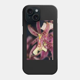 Splendid Orchid in Macro Phone Case