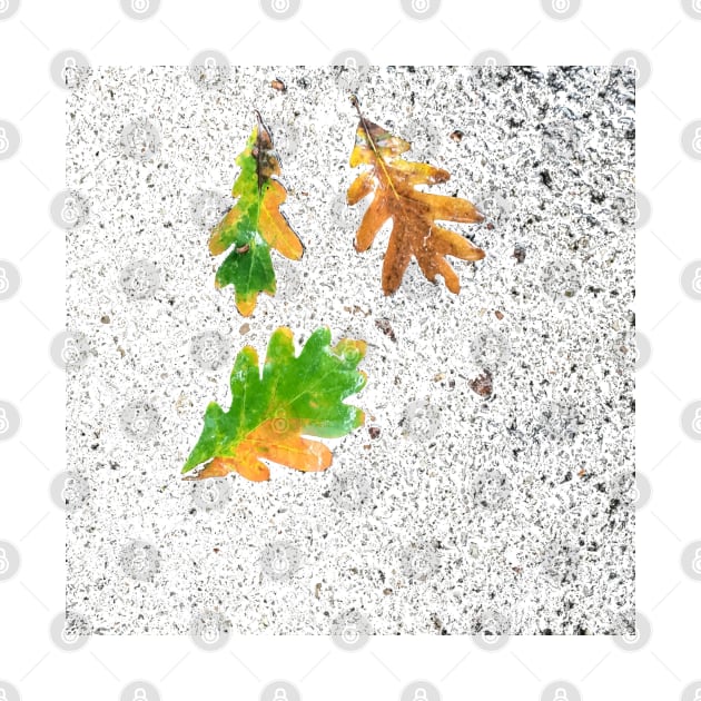 Rainy Leaves on White Snow Ice Terrazzo Background by djrunnels