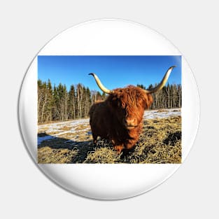Scottish Highland Cattle Cow 2325 Pin
