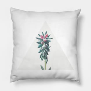 Flowering Succulent Pillow