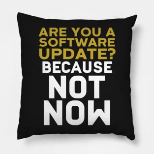 Are You A Software Update? Because Not Now Pillow