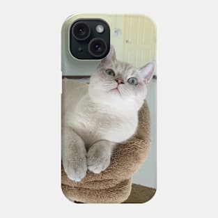 The angry cute cats Phone Case