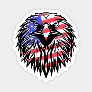 USA flag eagle Magnet