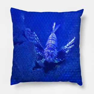 Lionfish on Blue Hexagonal Bubblewrap Pattern Pillow