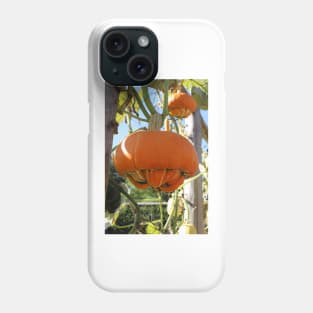 Turban Squash Phone Case