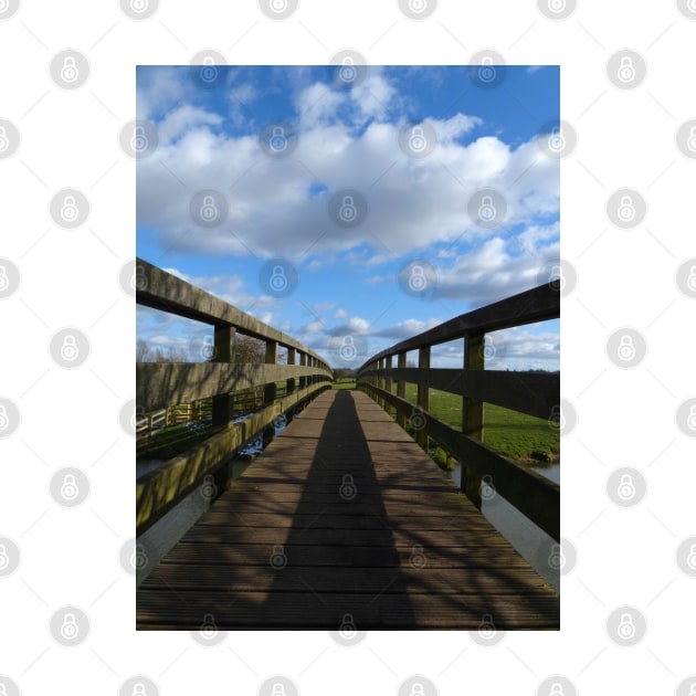 Fen Bridge, Suffolk by Chris Petty