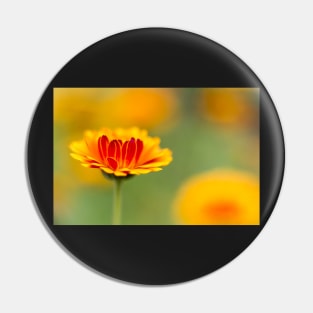 Marigold mornings and wildflower afternoons Pin