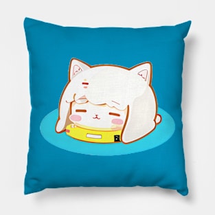 Cozy Cat Pillow