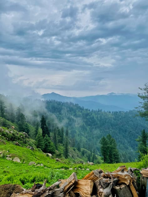 Natural Landscape of Kashmir with Himalayan Blue pines Kids T-Shirt by TeeeWorldd