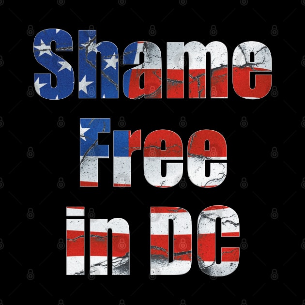 Shame Free in DC by JAC3D