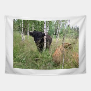 Scottish Highland Cattle Bulls 1468 Tapestry