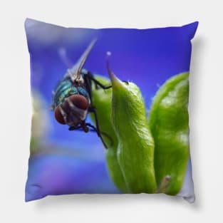 Fly on Pod. Pillow