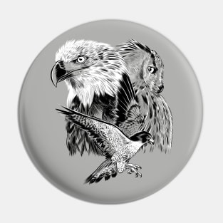 Eagle hawk and owl Pin