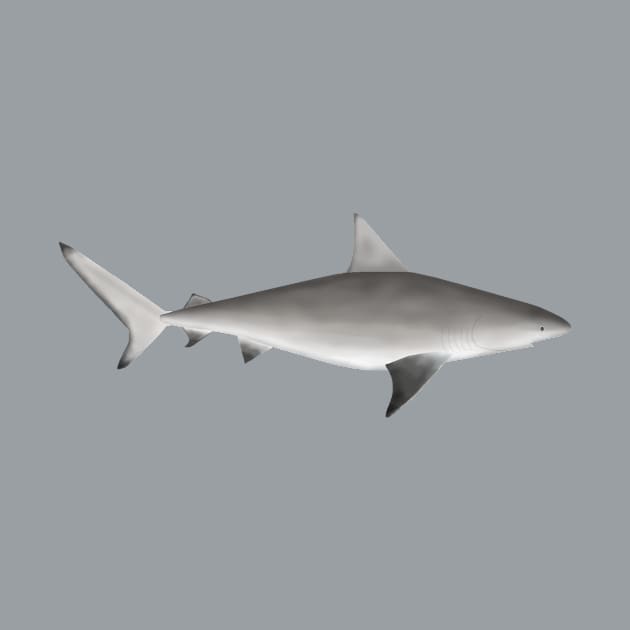 Bull Shark by FishFolkArt