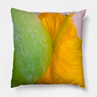 Pumpkin Blossom & Fruit Pillow