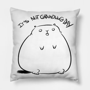 It's not Groundhog Day Pillow