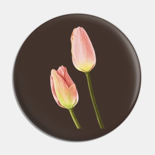 A pair of pink tulips Pin