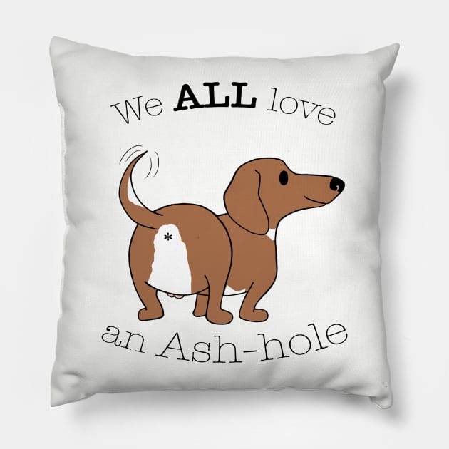 We ALL love an Ash-hole Pillow by toaoturtle4garmy