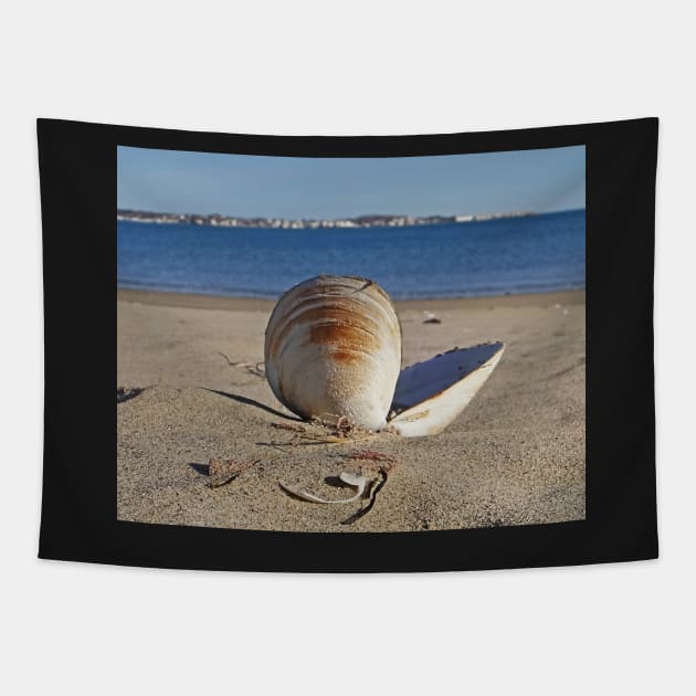 Revere Beach Clam Shell Back Revere MA Tapestry by WayneOxfordPh