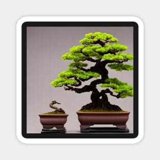 Bonsai Tree Magnet