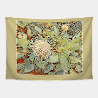 Button Bush Flower No.1 Tapestry