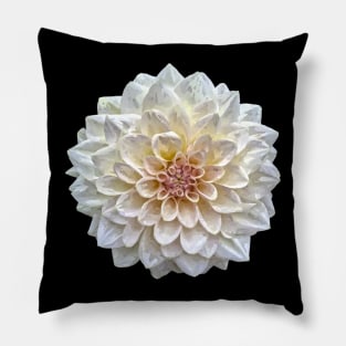 Pretty white Dahlia Botanical Bee Flower Annual Garden Pillow