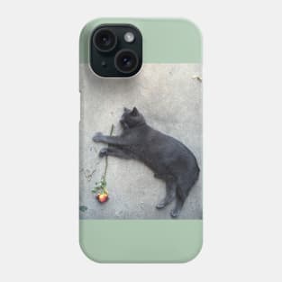 A Cat by Any Other Name Would Be as Sweet Phone Case