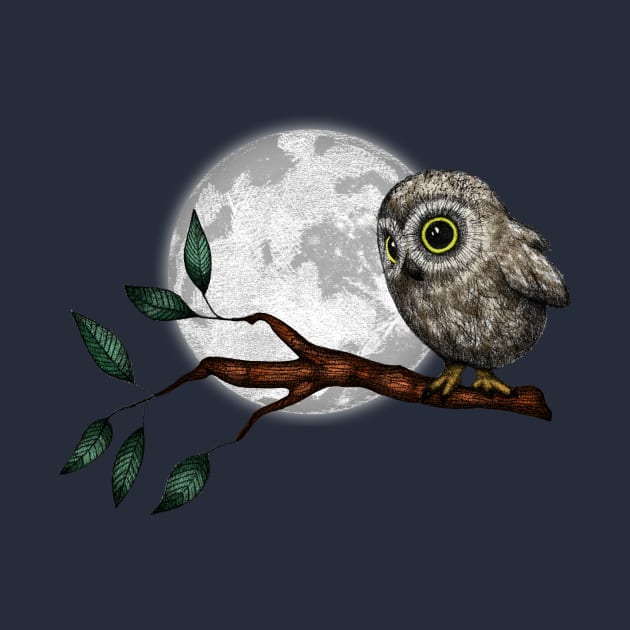 Moonlit Owl by PerrinLeFeuvre