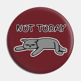 Not Today Cat (Dark Colors) Pin