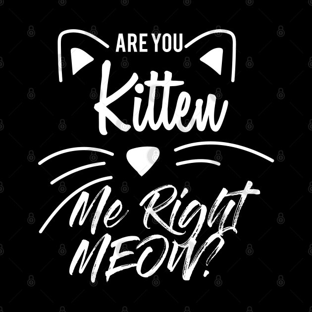 Are You Kitten Me Right Meow by Abderrahmaneelh