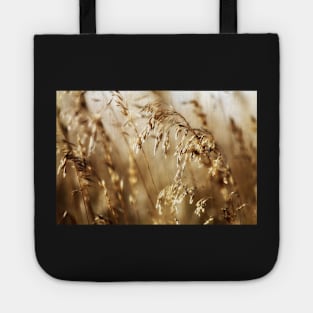 Illumined Tote