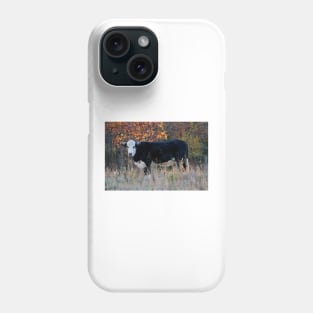 Cow In The Meadow Phone Case