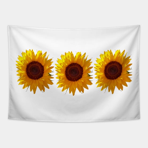 Three Sunflowers Photo Tapestry by ellenhenryart