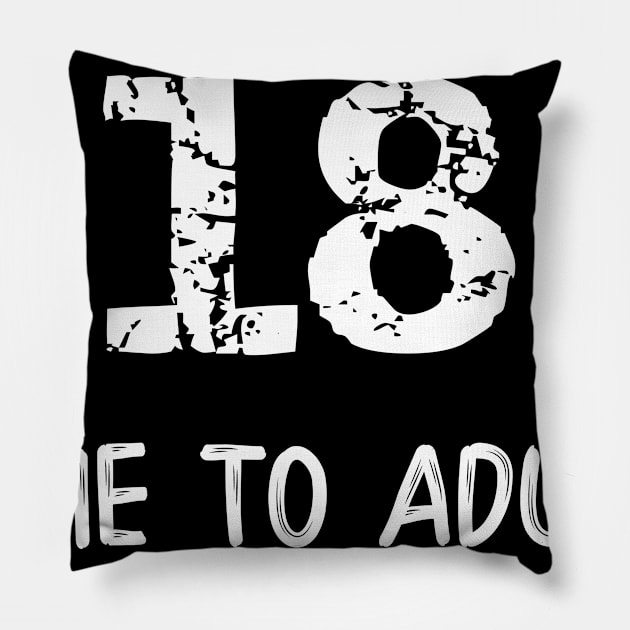 18 Time to Adult Pillow by LucyMacDesigns