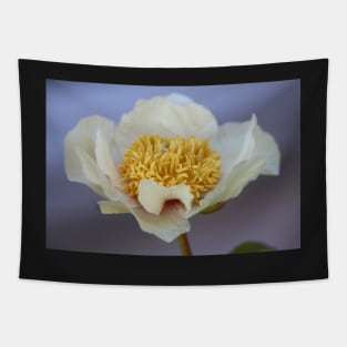 Peony Tapestry