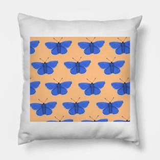 Amazing Common Blue Butterfly Pillow