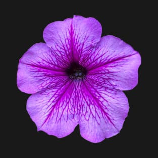 Petunia Sticker Flower Magnet T-Shirt