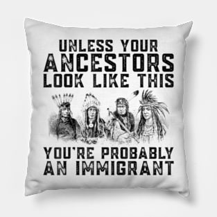 American Indian You're Probably An Immigrant Pillow